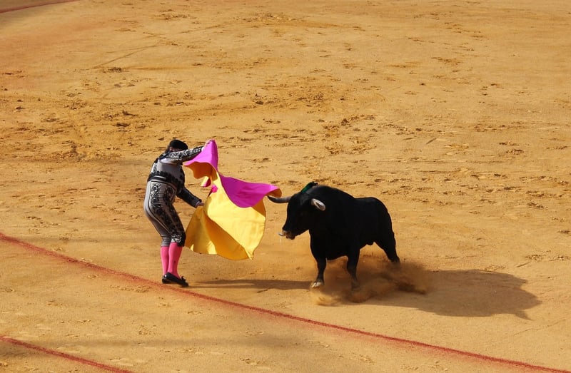 Bull Market Image